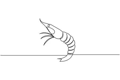 Shrimp continuous one line drawing minimalist style isolated on white backg.. Stock Illustration