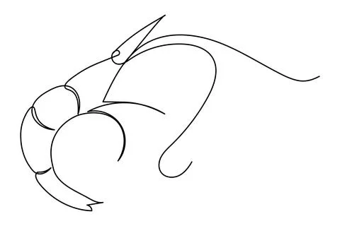 Shrimp continuous one line drawing minimalist style isolated on white backg.. Stock Illustration