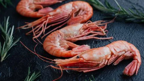Shrimp on a dark background Stock Photos