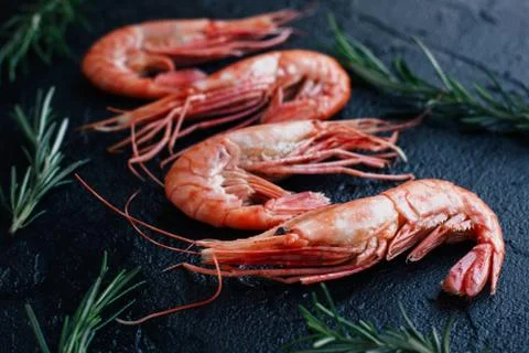 Shrimp on a dark background Stock Photos