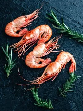 Shrimp on a dark background Stock Photos