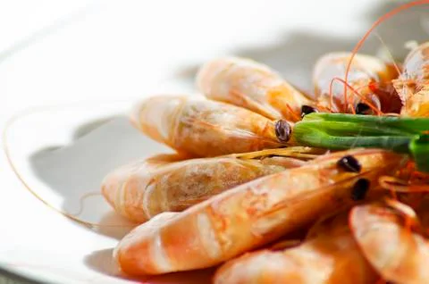 Shrimp on dish Stock Photos