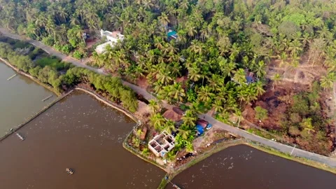 Shrimp farm Stock Footage 280170782