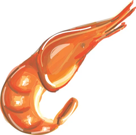 Shrimp Flat Design Meat Icon 스톡 일러스트