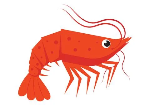 Shrimp flat style isolated on a white background. Cartoon Character Stock Illustration