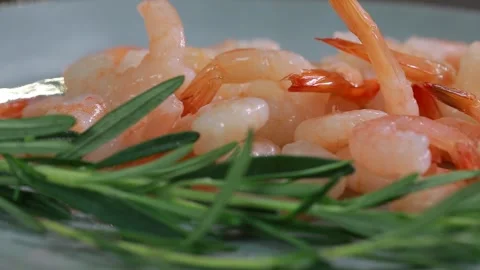 Shrimp Stock Footage 143732967