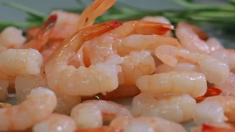 Shrimp Stock Footage 143733196