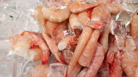 Shrimp On Ice Stock Footage 45934783