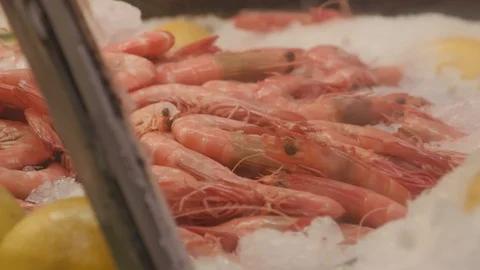 Shrimp on ice Stock Footage 106592842
