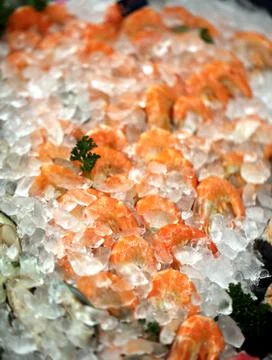 Shrimp on ice Stock Photos