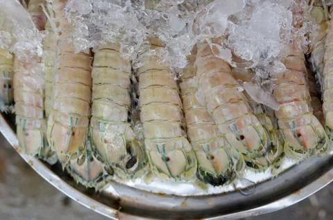 Shrimp with ice Stock Photos