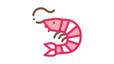 Shrimp Icon Animation Stock Footage 145288332