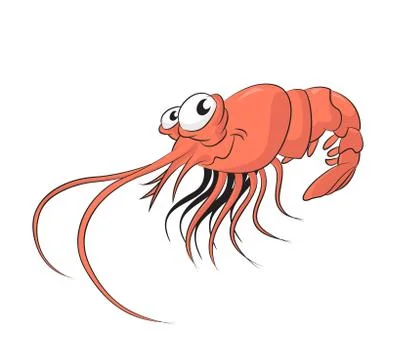 Shrimp Stock Illustration