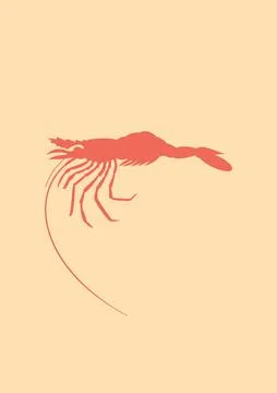 Shrimp Stock Illustration