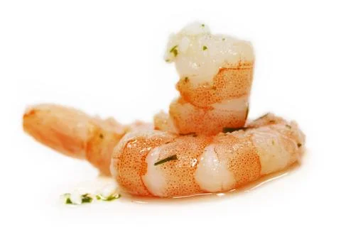 Shrimp isolated close up Stock Photos