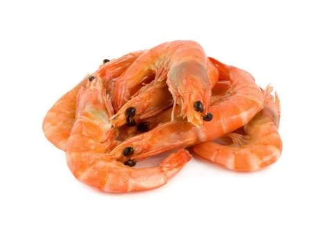 Shrimp isolated Foto stock