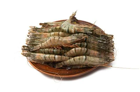 Shrimp isolated Stock Photos