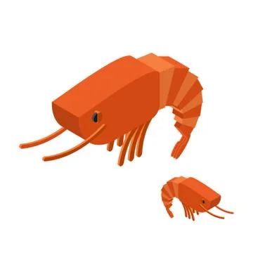 Shrimp Isometric on white background. Marine arthropod animal. Oceanic plankt Stock Illustration