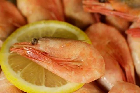 Shrimp on a lemon Stock Photos
