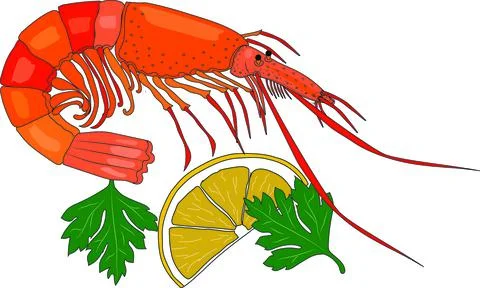 Shrimp, lemon slice and fragrant parsley leaves. Stock Illustration