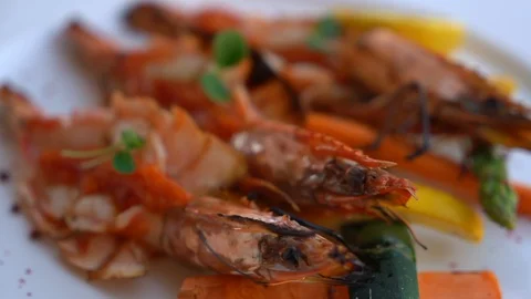Shrimp macro Stock Footage 128441958