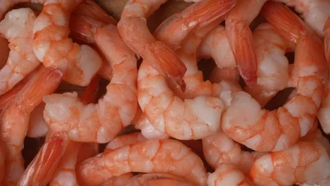 Shrimp in a macro pan shot Stock Footage 249942677