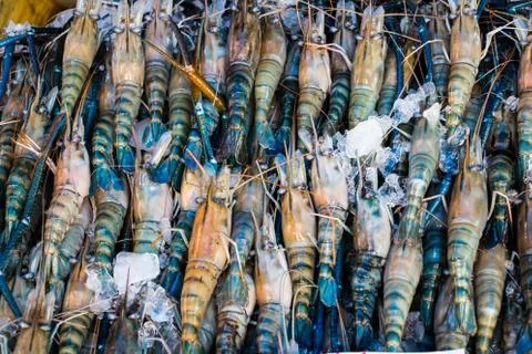 Shrimp in the market Stock Photos