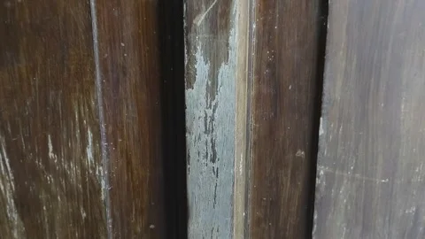 Shrimp paste or belacan a fermented shrimp seasoning from Indonesia Stock Footage 314930358