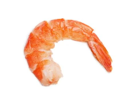 Shrimp Stock Photos