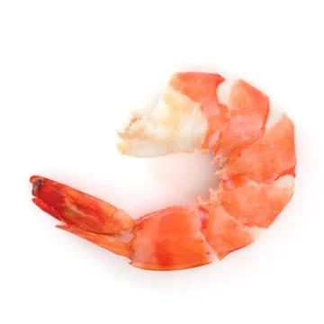 Shrimp Foto stock