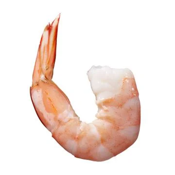 Shrimp Stock Photos
