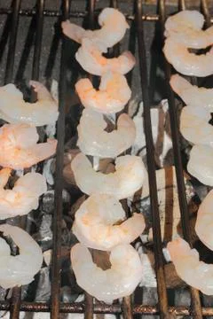 Shrimp Stock Photos