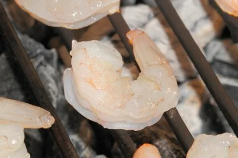 Shrimp Stock Photos