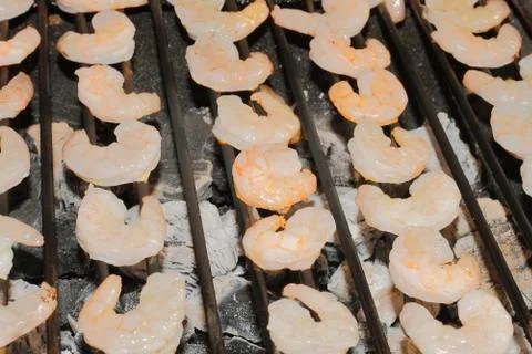 Shrimp Stock Photos