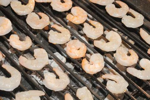 Shrimp Foto stock