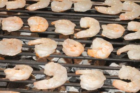 Shrimp Stock Photos
