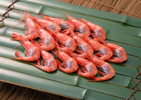 Shrimp Stock Photos
