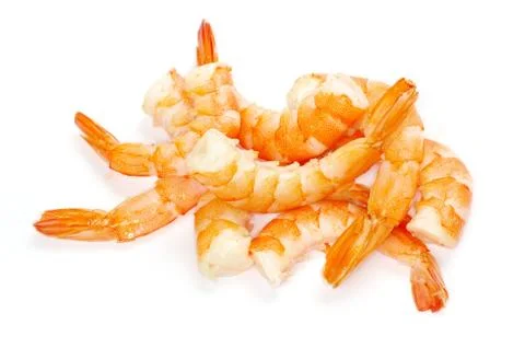 Shrimp Stock Photos