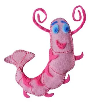 Shrimp Stock Photos