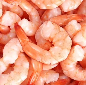 Shrimp Stock Photos