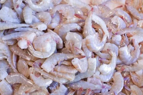 Shrimp. Stock Photos