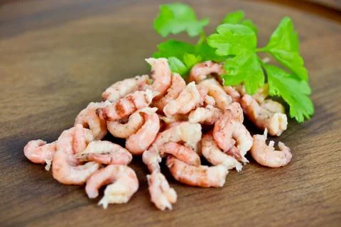 Shrimp Stock Photos