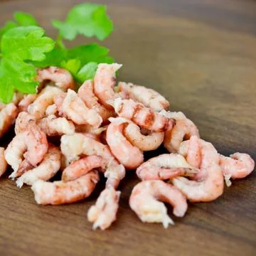 Shrimp Stock Photos