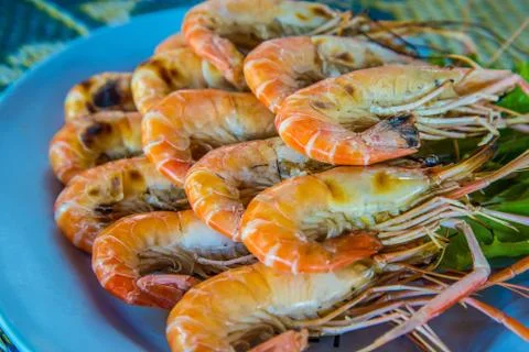 Shrimp Stock Photos