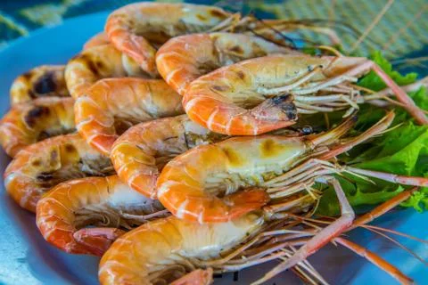 Shrimp Stock Photos