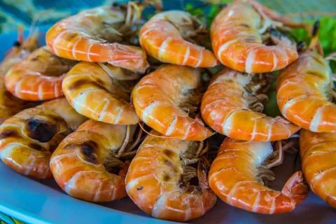 Shrimp Stock Photos
