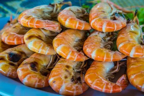 Shrimp Stock Photos
