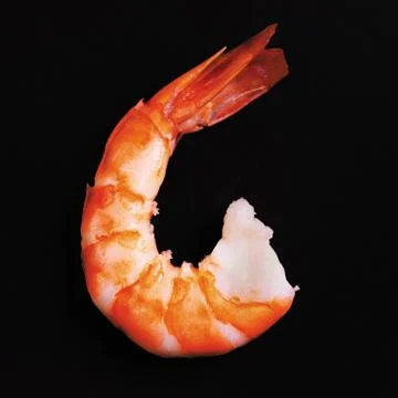 Shrimp Foto stock