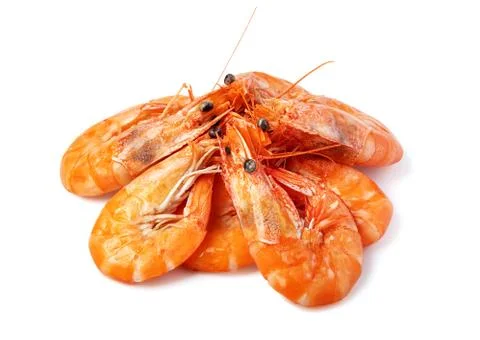 Shrimp Foto stock