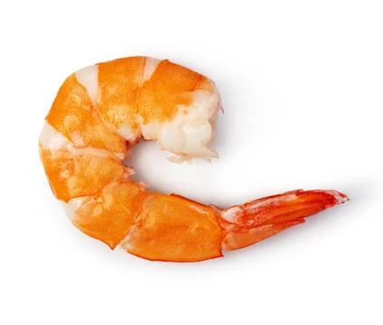 Shrimp Stock Photos